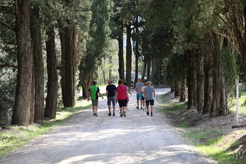 3-3_CastelBrolio (20)